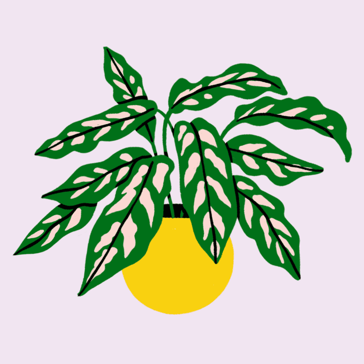 Spot illustration of a plant for green week