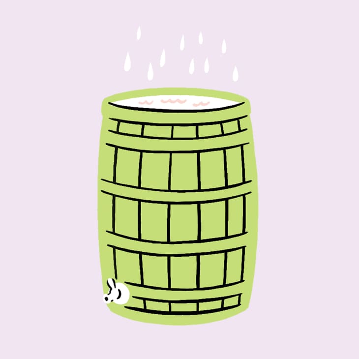spot illustration of a rain barrel for Green week