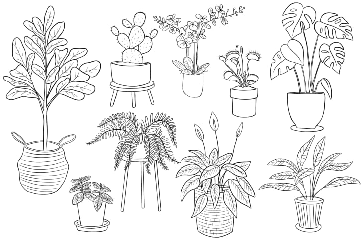 Apartment Therapy Free Coloring Pages Apartment Therapy