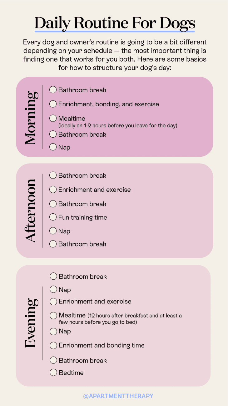 Daily Activity Schedule