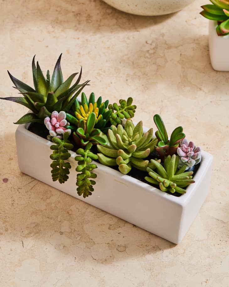 Faux Succulent Potted for Home & Office Display Artificial Succulent Plants Pot 
