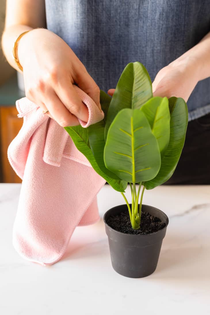 How to Lean into Fake Plants, According to Plant Experts