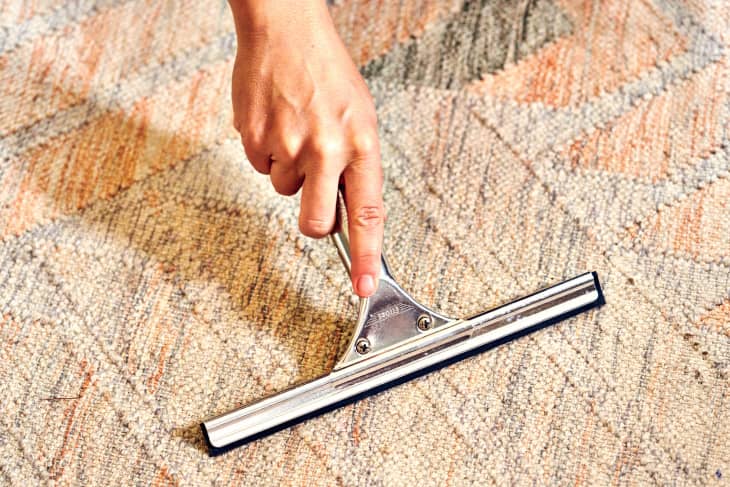 How to Use a Squeegee to Clean Your Carpet and Remove Pet Hair | Apartment  Therapy