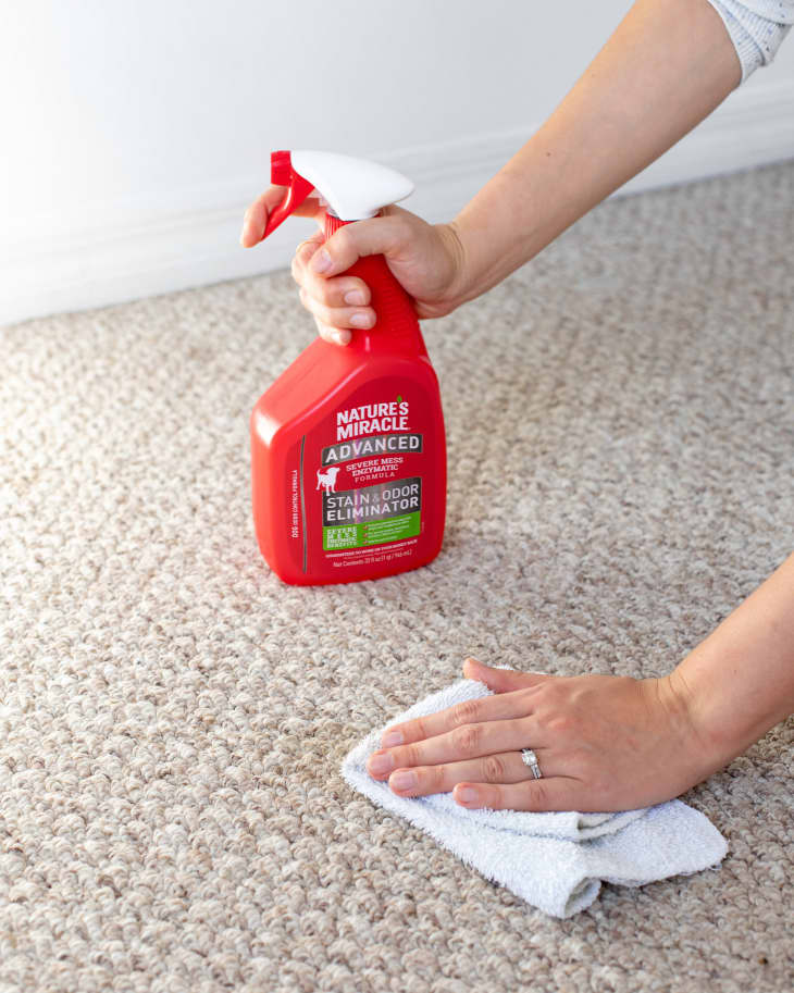 Blotting a stain in the carpet with towel, holding bottle of carpet stain remover