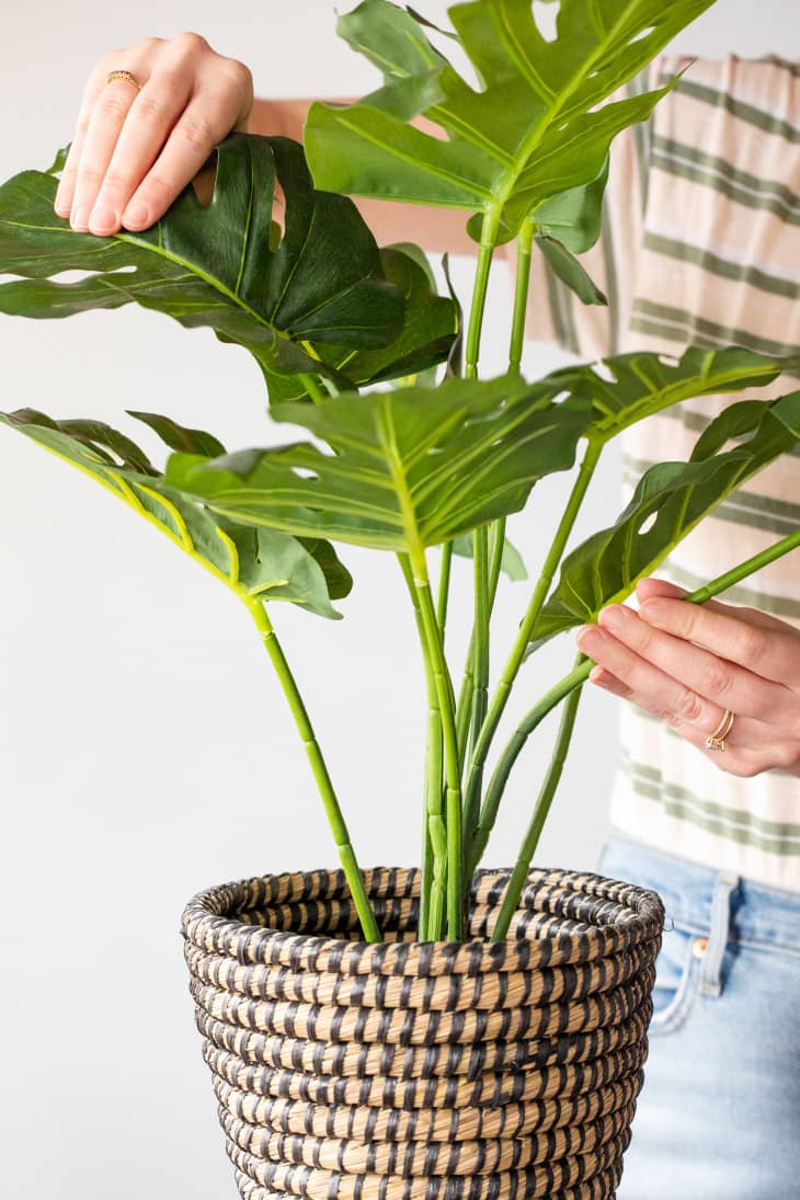 adjusting the leaves of a fake plant