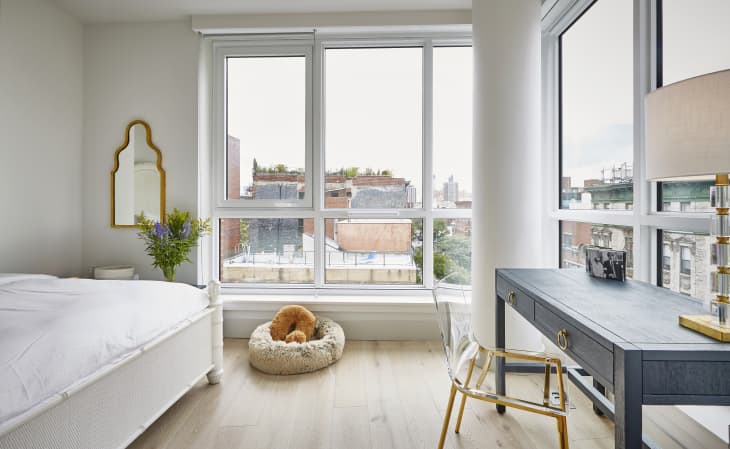Bedroom with white walls, white bed, large desk with lamp. There is a mirror on the wall with gold trim and a plant on a side table. large windows with view of city on cloudy day. Plush dog bed on the floor