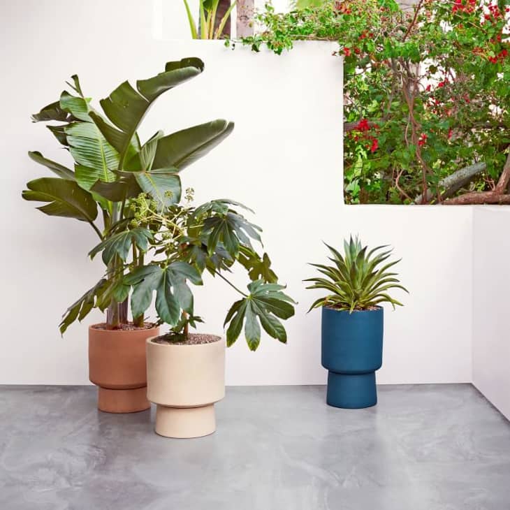 to Large Planters | Apartment Therapy