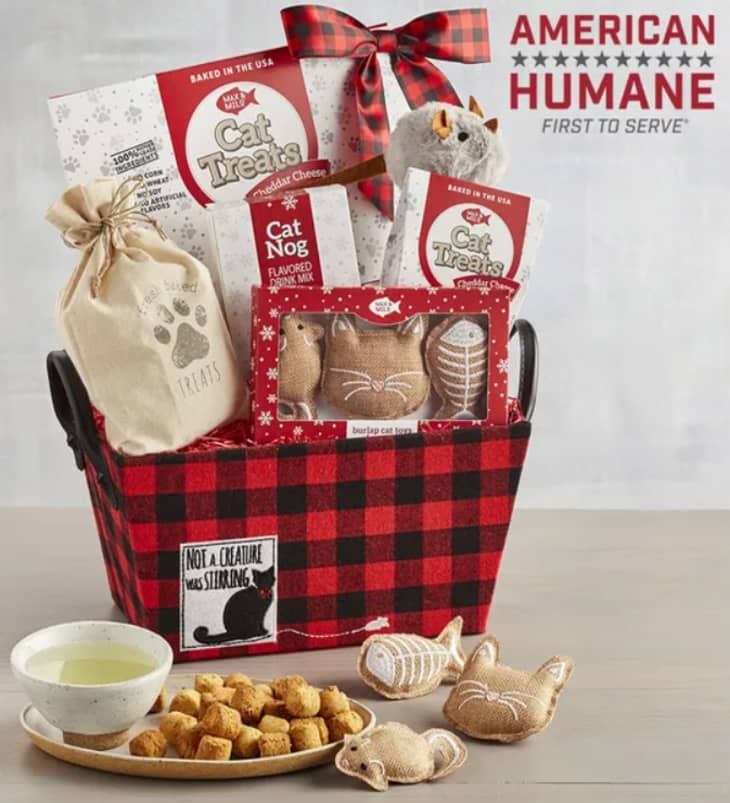 Harry and David Holiday Pet Gift Baskets 2021