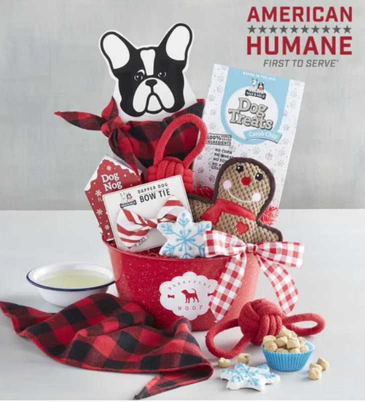 Harry and David Holiday Pet Gift Baskets 2021