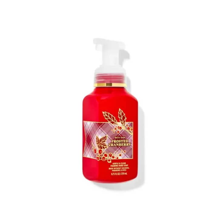 Frosted Cranberry Gentle & Clean Foaming Hand Soap at Bath & Body Works