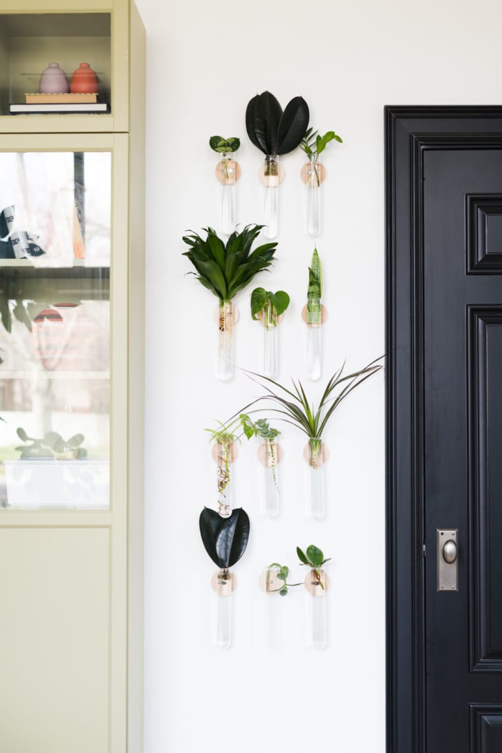 DIY Creative Ways To Hang Your Plants | Apartment Therapy