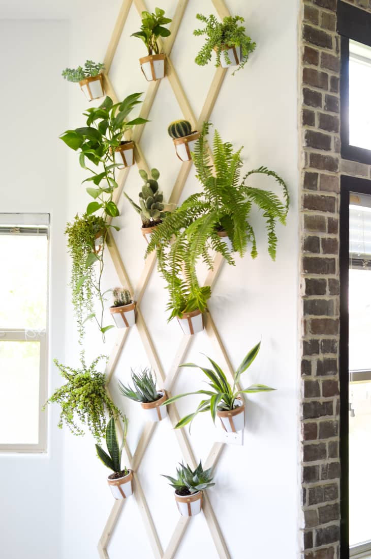 DIY Creative Ways To Hang Your Plants | Apartment Therapy