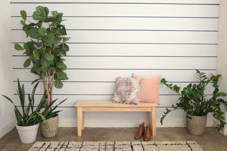 A painted shiplap wall with a bench and plants in front of it