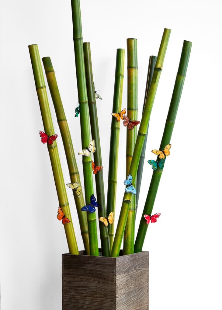 Bamboo branches with faux butterfly accents