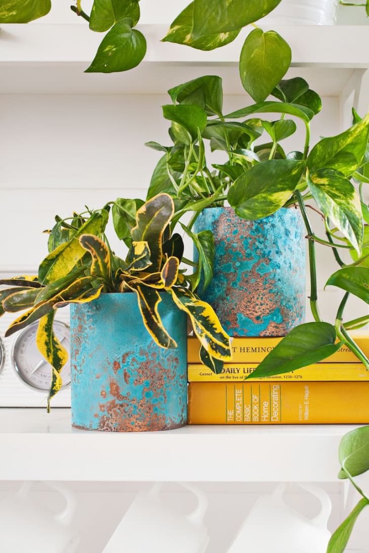 copper planters with blue patina, planted with trailing plants