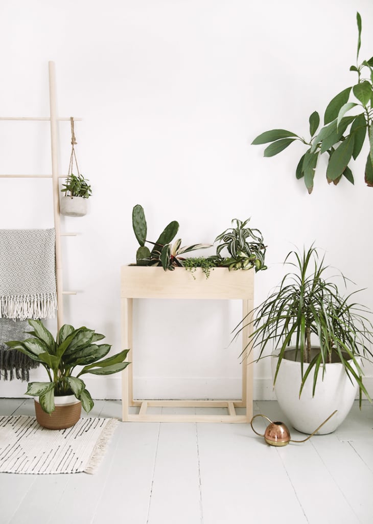 minimalist pale wood raised plant stand