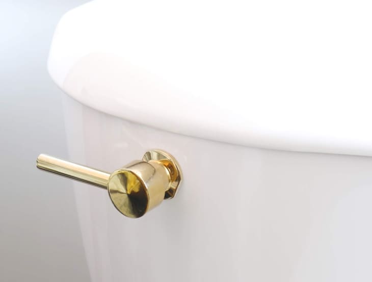 white toilet with gold flusher