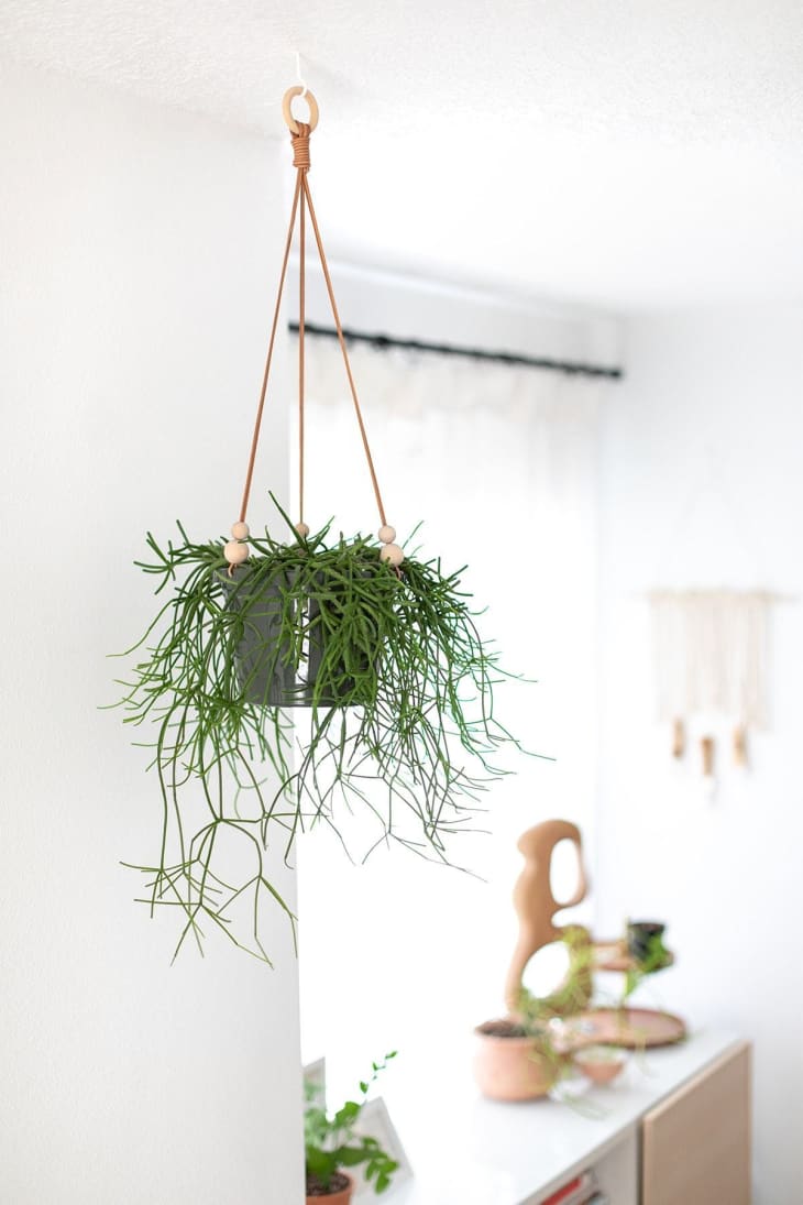 hanging planter with beaded leather straps