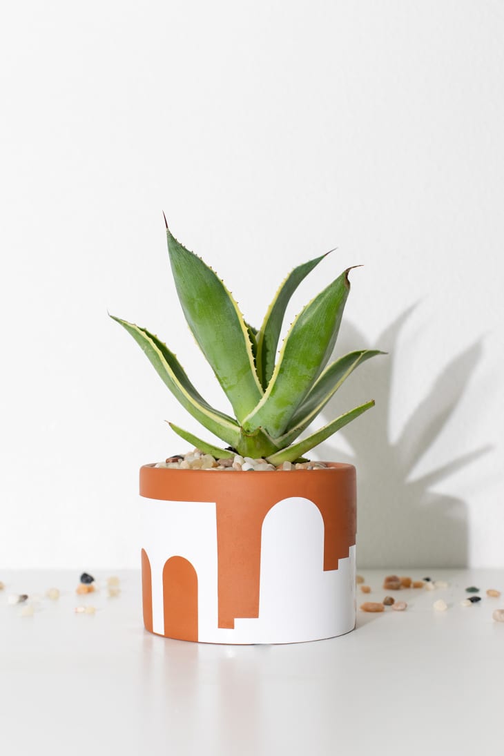 terra cotta planter with geometric white accents