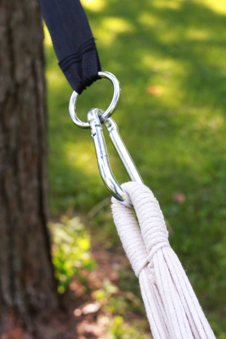 carabiner attached to tree strap and hammock