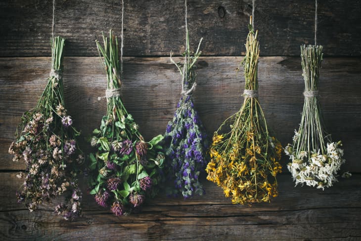 Hanging bunches of herbs and flowers.