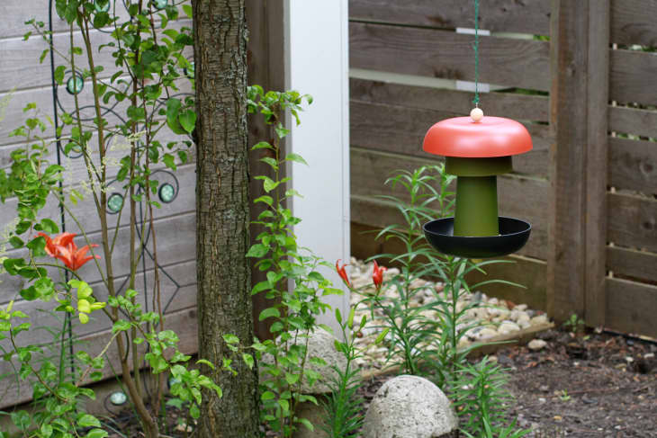 diy bird feeder hanging in garden