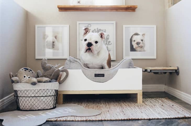 small dog-sized "room" with dog bed, crate for toys, a gallery wall, and more