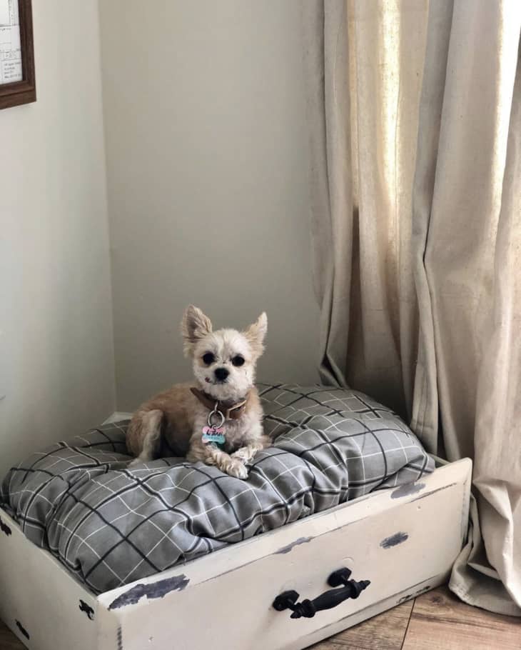dog bed made from dresser drawer with antiqued white finish