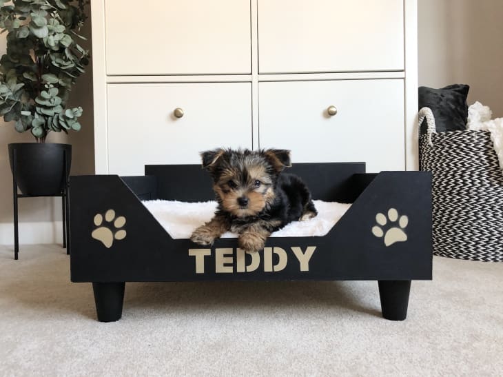 custom raised wood dog bed made from medicine cabinet