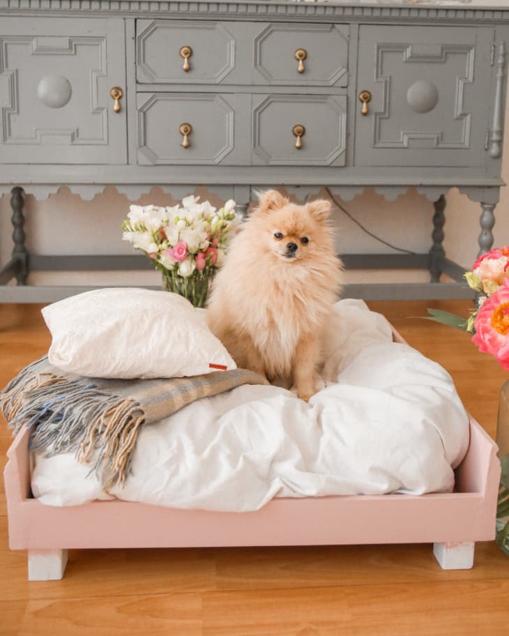 small dog sitting on cushy white bed in a pink wood frame
