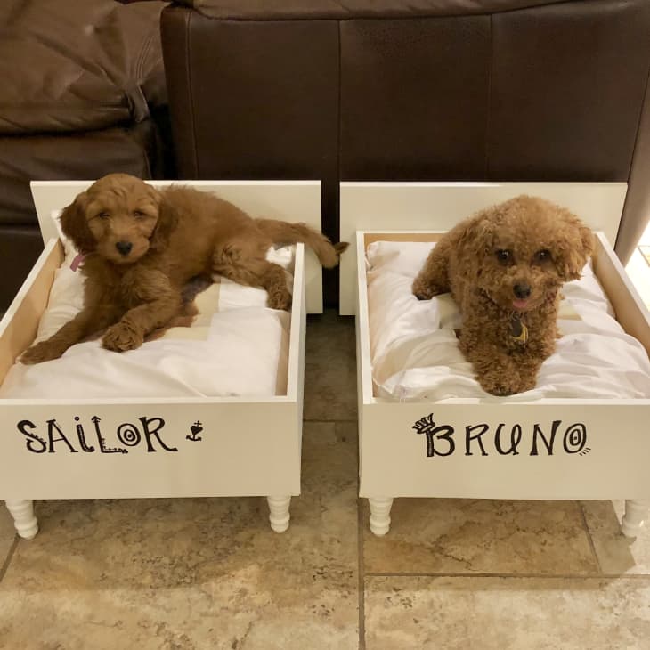 two matching dog beds with the look of twin-sized human beds