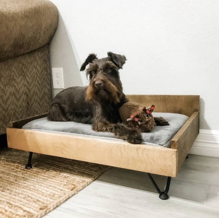 Mid-century-inspired wood dog bed with hairpin legs