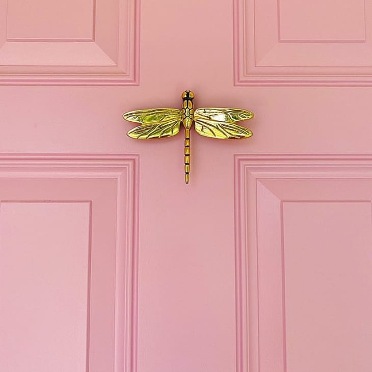 pink door with brass dragonfly door knocker