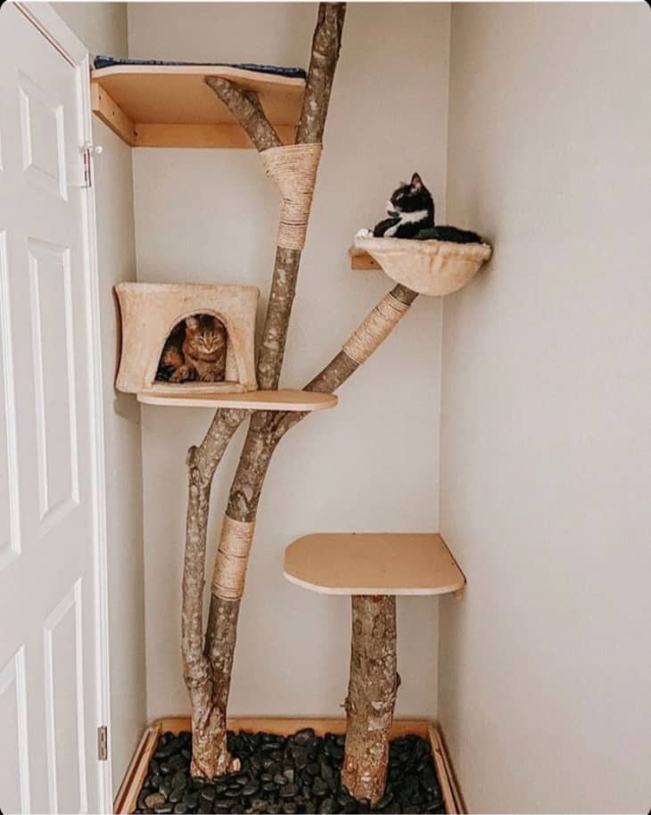 cat tree built into a nook