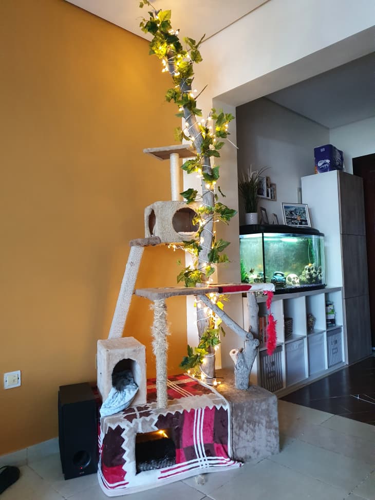 cat tree wrapped in string lights