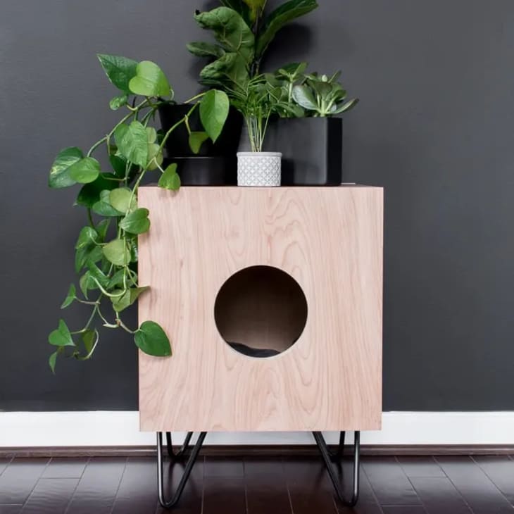 modern cat house with hairpin legs
