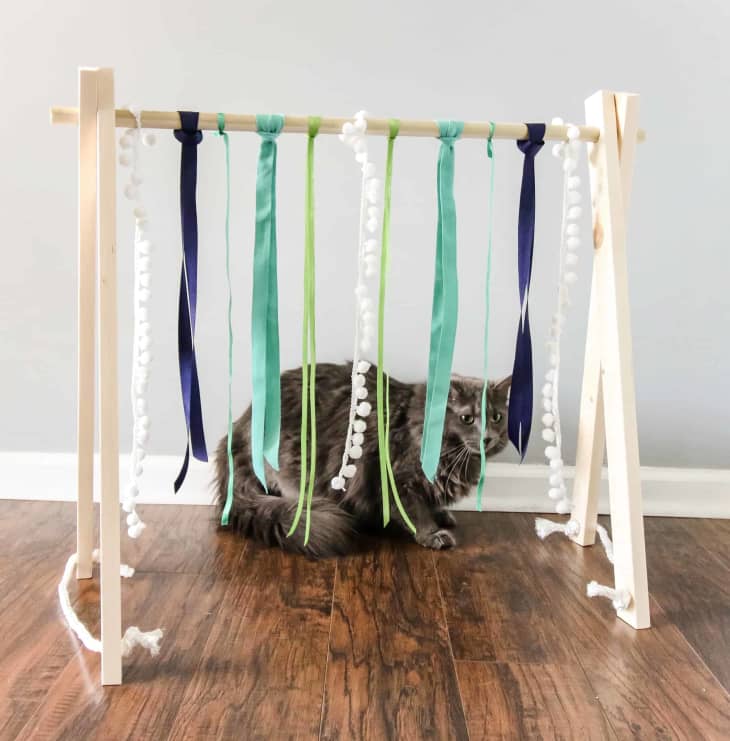 diy cat toy made by hanging ribbons from a wood dowel