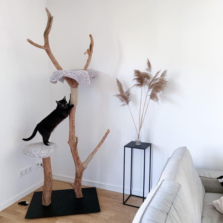 diy minimalist cat tree in the corner of a room