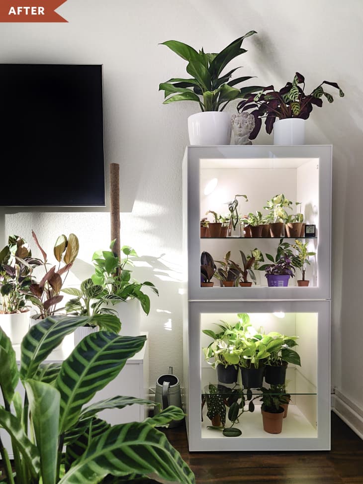 After: IKEA BESTA cabinet with glass doors, outfitted with grow lights