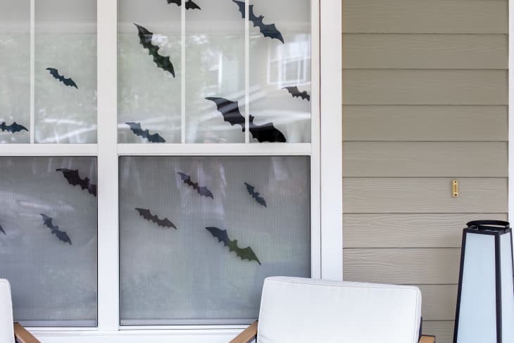 Windows with painted bats