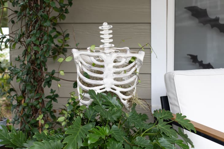 A skeleton topiary with a faux skeleton coming out of a potted plant
