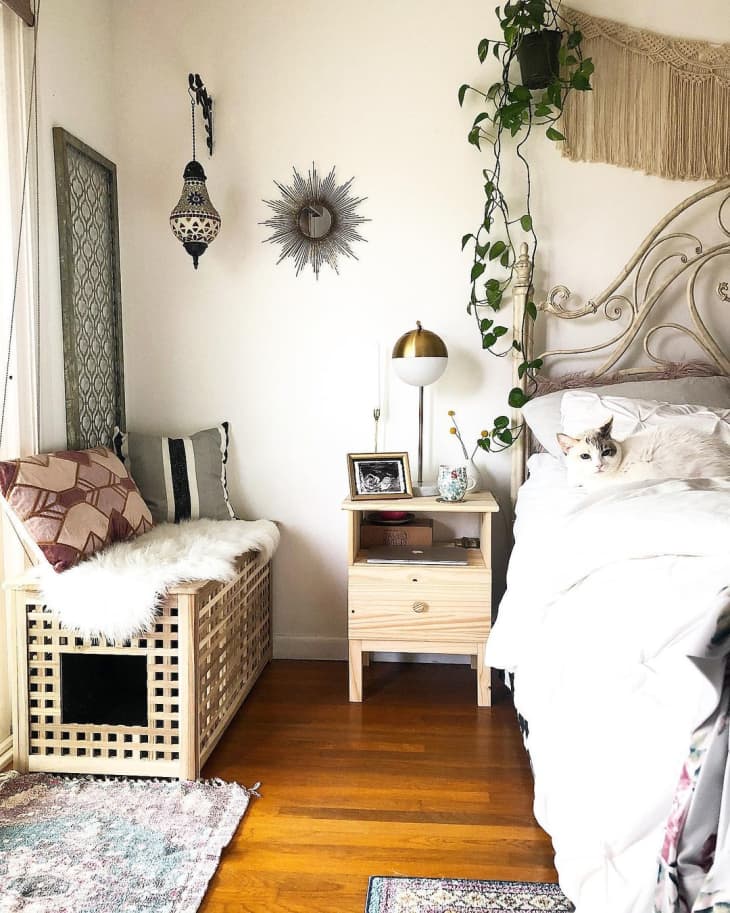 bedroom with caned litterbox