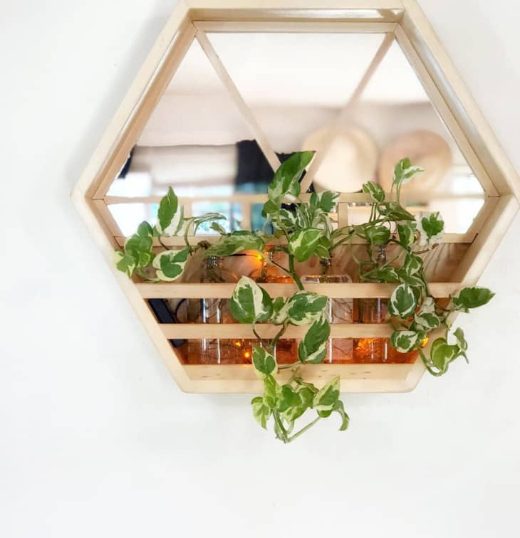 Hexagon-shaped propagation station made of reclaimed wood