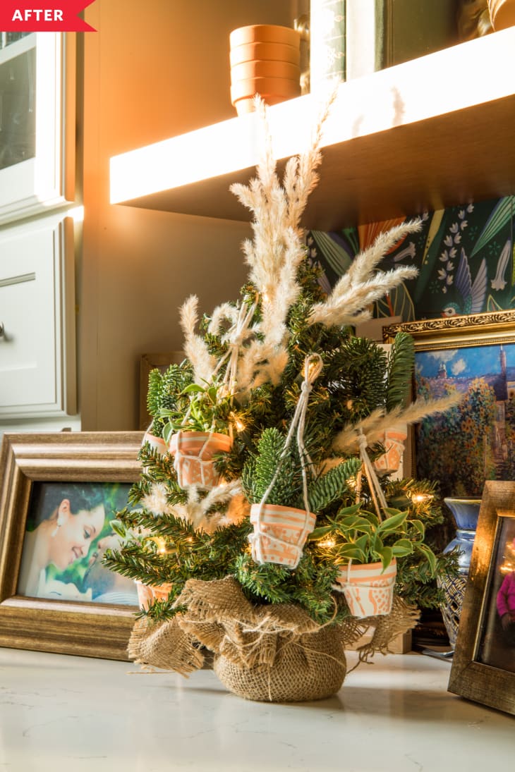 After: mini tree decorated with pampas grass and hanging terracotta planters