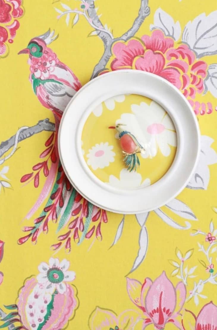 Bird brooch in a circlular frame hanging on yellow floral wallpaper