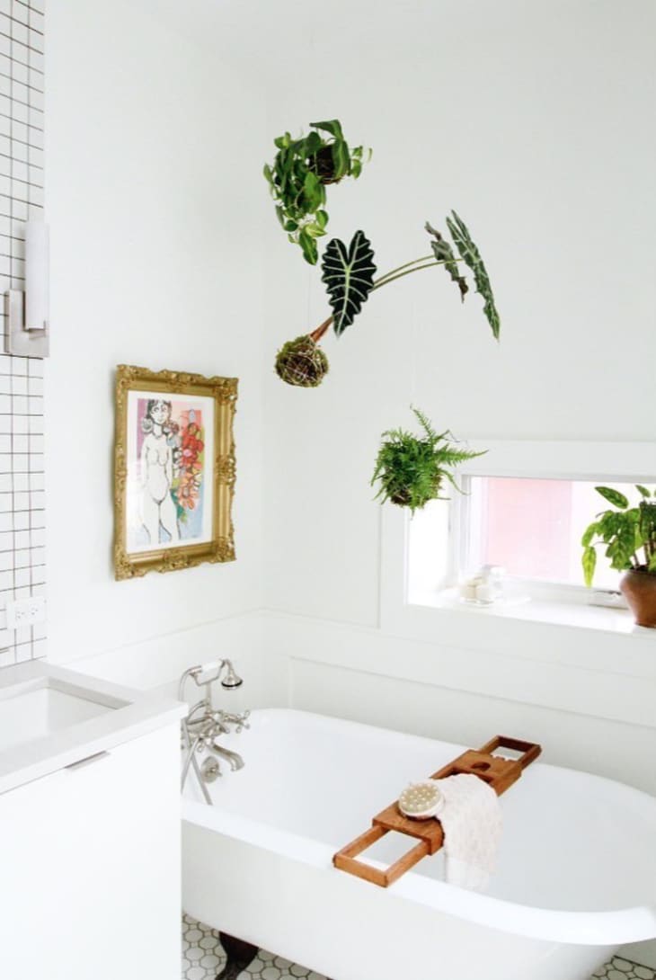 Bright white bathroom with plants