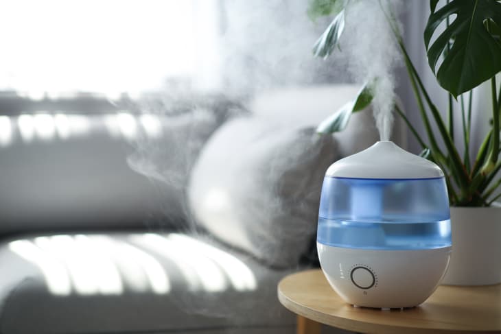 humidifier next to potted plant in a living room