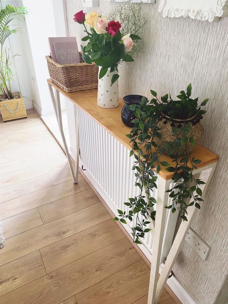 Small shallow shelf above radiator holding plants