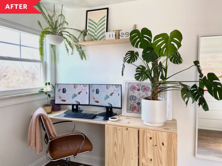 After: Plywood desk with cabinet for supplies and a large potted monstera plant