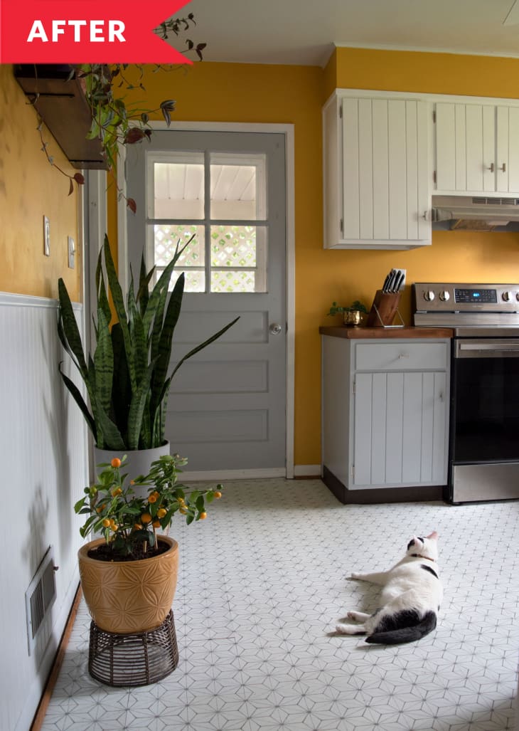After: Dog lying in kitchen with white peel-and-stick tile floors, gold walls, and lots of plants